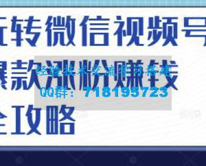 玩转微信视频号爆款涨粉赚钱全攻略，让你快速抓住流量风口，收获红利财富