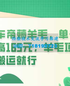 懂车帝薅羊毛，单号最高165元，羊毛项目，搬运就行