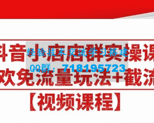 大海抖音小店店群实操课：猜你喜欢免流量玩法+截流2.0