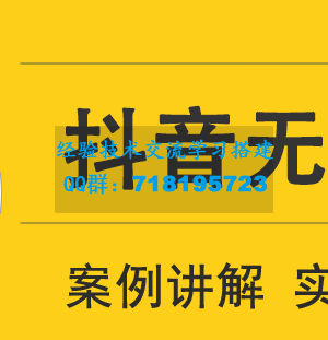 顽石电商低投入高回报抖音无货源实战教程