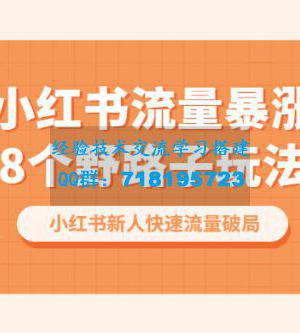 小红书流量暴涨 8 个野路子玩法：小红书新人快速流量破局（ 8 节课）