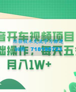 抖音开车视频项目：0基础操作，每天五分钟，月入过万