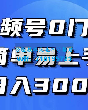 视频号无门槛，轻松上手，入门级教程，每天赚取300+收益