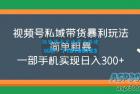     视频号私域带货暴利玩法，简单粗暴，一部手机实现日入300+
