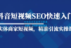     抖音短视频Seo搜索排名优化新手快速入门教程，实体商家短视频，精准引流实操课
