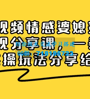 掌握情感婆媳赛道，实现短视频变现：全面分享实操玩法