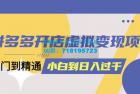     拼多多开店虚拟变现项目：入门到精通 从小白到日入1000（完整版）
