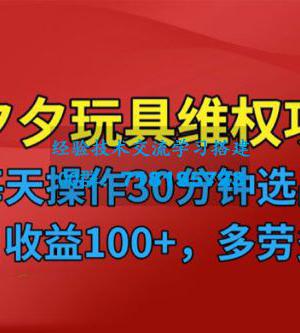 仅揭秘：拼多多 3C 玩具维权项目，一天操作半小时，稳定收入 100+