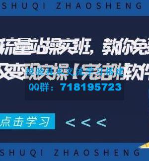 2021年附子SEO流量站实操班，获得百万流量及变现实操