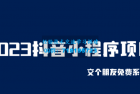     2023抖音小程序项目，交个朋友免费系列课程
