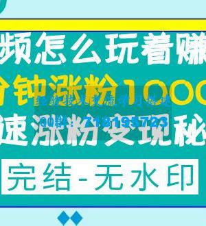 短视频怎么玩着赚钱？一分钟涨粉10000+快速涨粉变现秘籍（完结)