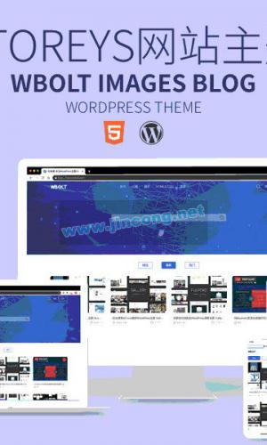 WordPress主题 Storeys V1.0.0免费资源下载站响应式主题模板