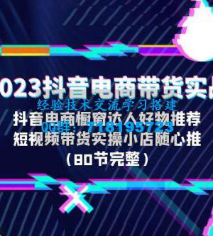 2023 抖音电商带货实战：橱窗达人好物推荐，实操小店随心推（共 80 节完整）