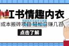     小红书搬砖项目0成本情趣内衣搬砖项目，轻松日赚几百+
