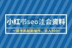     小红书 SEO 注会资料：一部手机就能操作，日入过百
