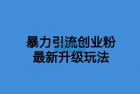     价值1980一千个野路子暴力引流最新升级玩法
