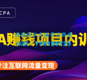 CPA赚钱项目内训课：长期正规赚钱项目，全网最完整的一套CPA项目