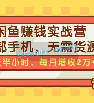 闲鱼赚钱实战营，一部手机，无需货源，每天半小时，每月增收2万+（无水印）