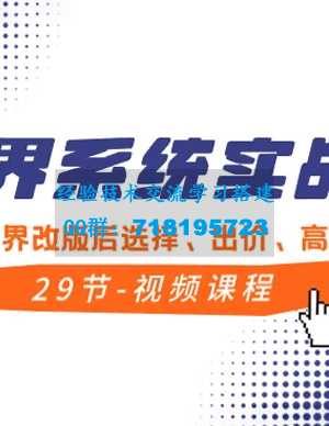 无界系统实战课：全方位实操，精通选择、出价和高效投产的付费引流方法