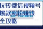     玩转微信视频号爆款涨粉赚钱全攻略，让你快速抓住流量风口，收获红利财富
