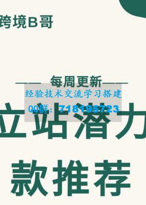 独立站潜力爆款选品推荐，测款出单率高达百分之80