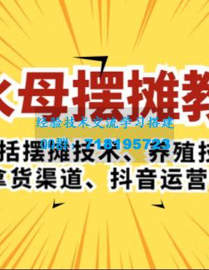 水母·摆摊教学，包括摆摊技术、养殖技术、拿货渠道、抖音运营等