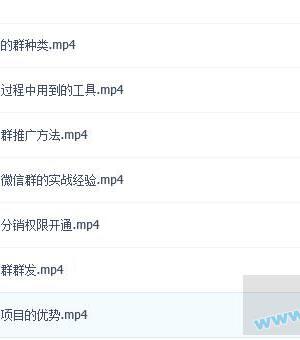 微信群小说项目月入1-3万实战操作方法