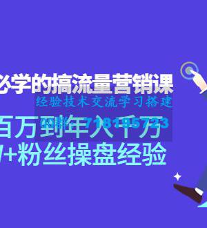 创业者必学的搞流量营销课：负责百万到年入千万，500W+粉丝操盘经验