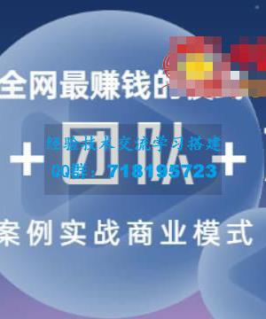 全网最赚钱的模式《流量+团队+模式》案例实战商业模式