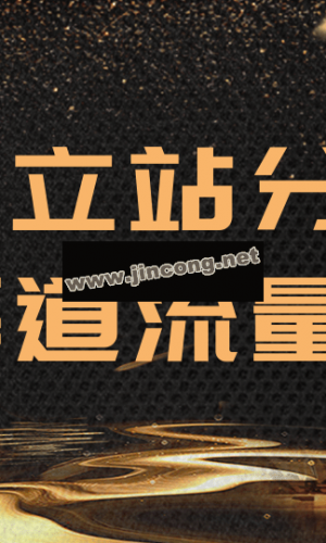 跨境电商最新运营教程_手把手教你分析运营独立站精细化流量