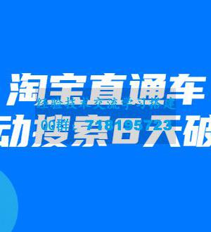 进阶战速课：淘宝直通车拉动搜索8天破千（视频课程）无水印