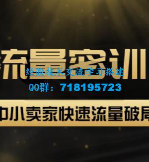 2022秋秋线上流量密训16.0：包含暴力引流10W+中小卖家流量破局技巧等等