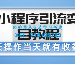 微信小程序引流变现项目教程 当天操作当天就有收益，变现不再是难事