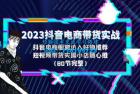     2023 抖音电商带货实战：橱窗达人好物推荐，实操小店随心推（共 80 节完整）
