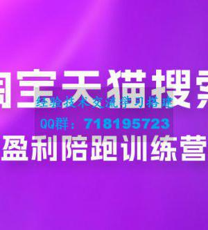 2023 無山·淘宝天猫搜索持续盈利陪跑训练营，独家玩法，快速盈利