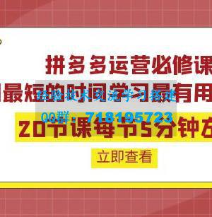 拼多多运营必修课：20节课每节5分钟左右，用最短的时间学习最有用的知识