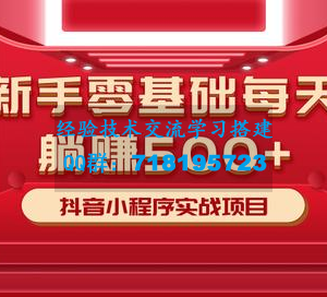 最新小白赚钱项目，零基础每天躺赚500+抖音小程序实战项目