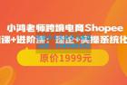     鸿老师跨境电商Shopee入门课+进阶课：理论+实操系统化教学
