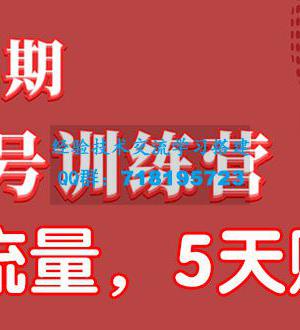 视频号训练营第2期：引爆流量疯狂下单，5天赚2万+全流程解析！