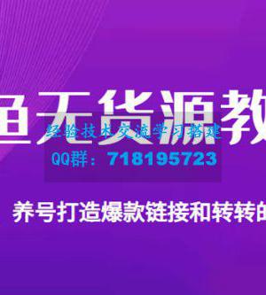 闲鱼无货源电商教学：教你起号，养号打造爆款链接以及转转的运营技巧