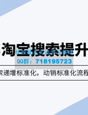 2023 淘宝搜索 · 提升训练营：搜索·递增标准化，动销标准化流程