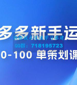 拼多多新手运营从 0-100 单策划课程，从零起步到爆单详细教程