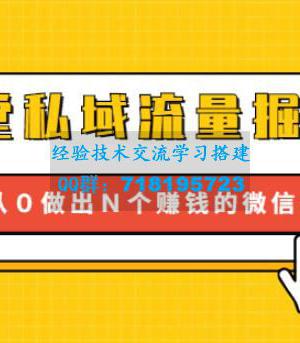 12堂私域流量掘金课：从0做出N个赚钱的微信号【完结】