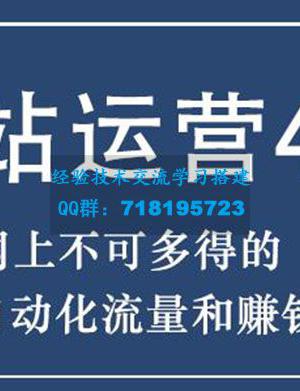 暴疯团队网站赚钱项目4.0:网站运营与盈利 实现流量与盈利自动化的赚钱之路