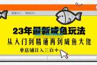     2023全网咸鱼最新玩法单店铺日入300+
