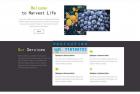     有机蔬菜水果农产品网站html网页模板
