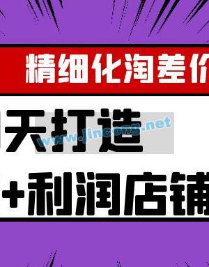 YL精细化淘差价28天打造10000+利润店铺，精细化选品项目（附软件）