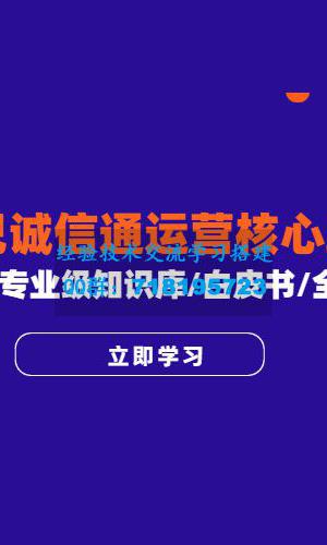 阿里巴巴诚信通运营核心玩法课程：1688  专业级知识库   白皮书 全攻略