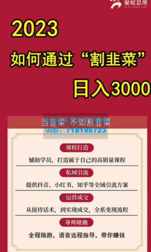 聚蚁思维 2023如何通过“割韭菜”日入3000