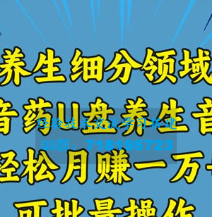 健康养生赛道：U盘养生音乐，轻松月入过万，批量操作方法分享 带图片视频素材